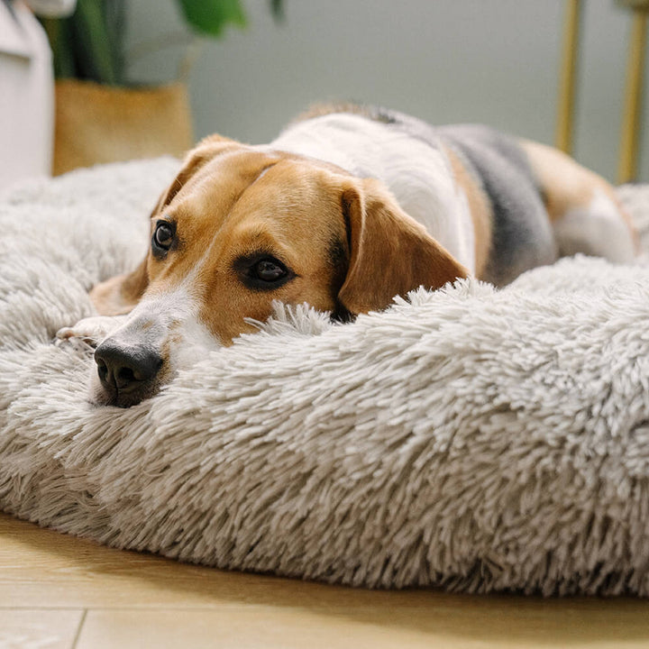Tamarama | Fluffy Round Faux Fur Dog Bed - image 6