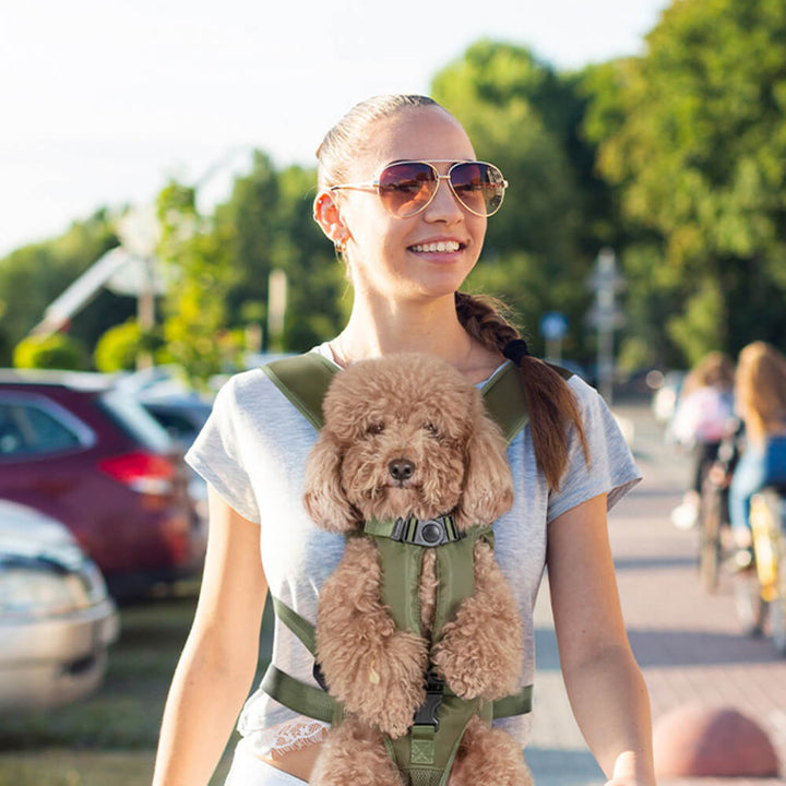 Bilgola | Adjustable Dog Carrier Backpack - image 1