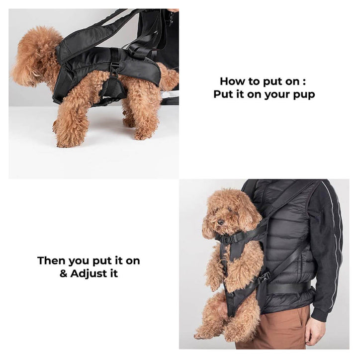 Bilgola | Adjustable Dog Carrier Backpack - image 6