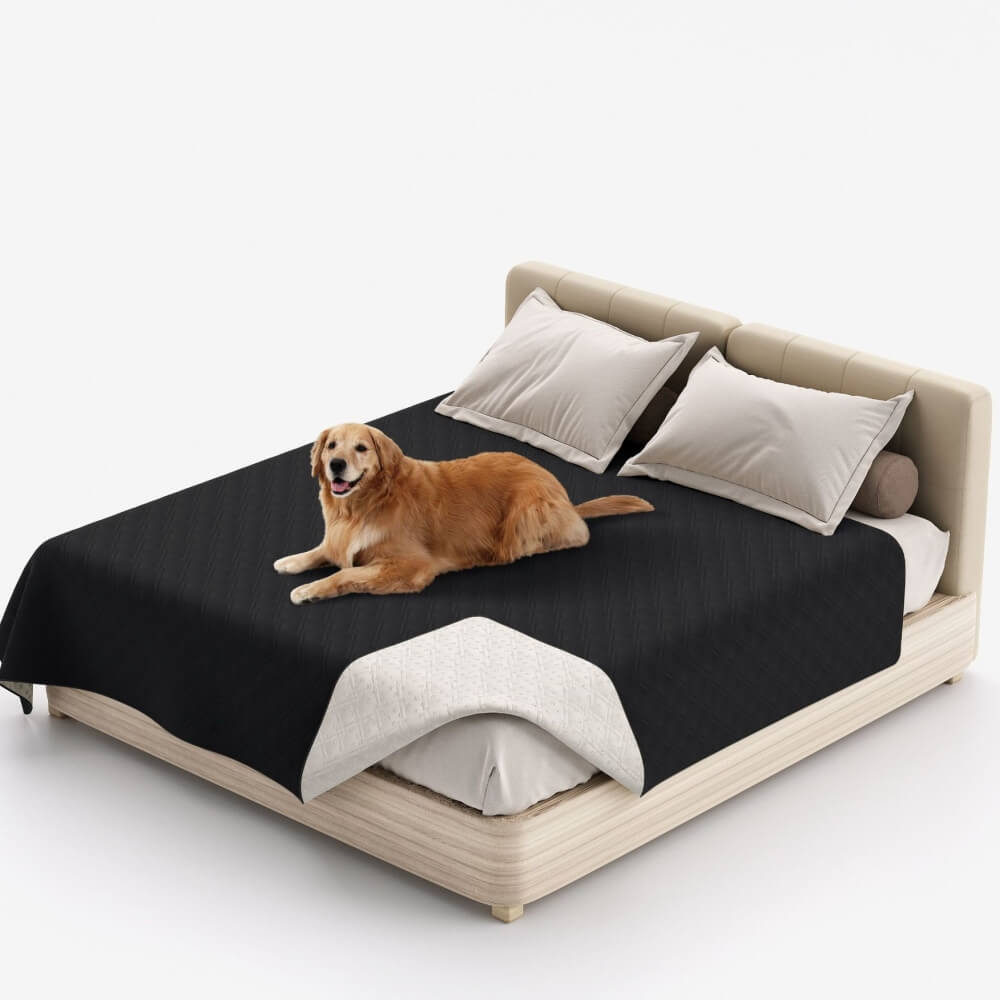 Avoca | Water-Repellent Pet Blanket and Furniture Protector - image 13
