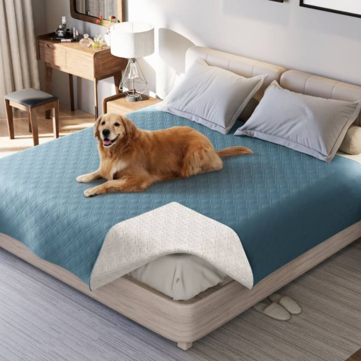 Avoca | Water-Repellent Pet Blanket and Furniture Protector - image 1