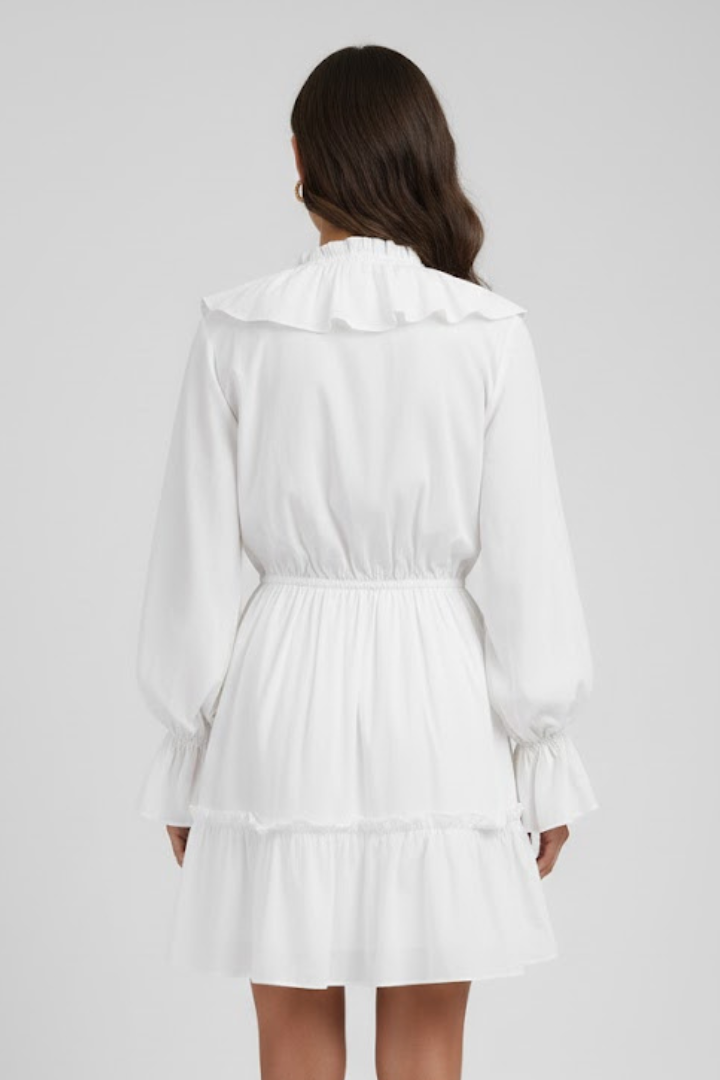 Lelia | Women's Mini Dress with V-Neck and Ruffle Trim