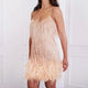 Novella feather fringe mini dress in champagne