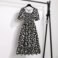 Black Daisy