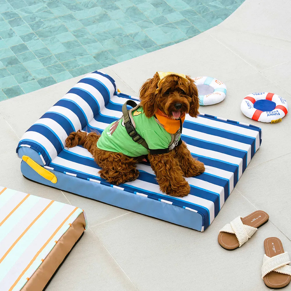 Linden | Cooling Orthopedic Dog Bed with Memory Foam and Washable Water Resistant Cover - image 8