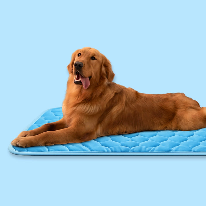 Thistle | Self-Cooling Dog Mat, Non-Toxic Gel-Free Design for Portable Heat Relief - image 2