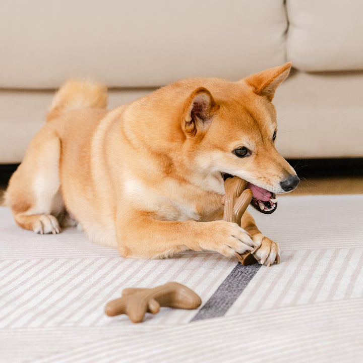 Paynesville | Bacon-Flavoured Nylon Chew Toy for Dogs - image 8