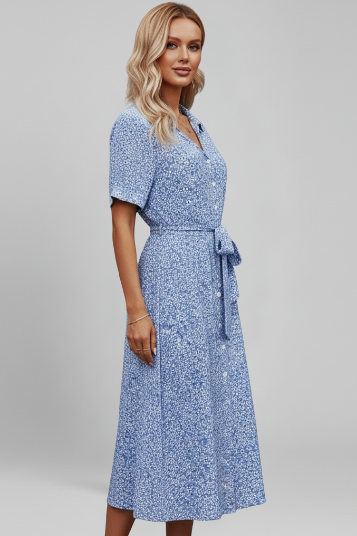 Pascale | Women's Dress with V Neckline and Button Closure