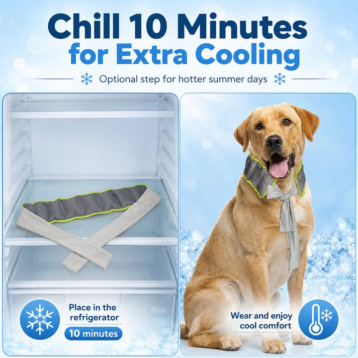 Ortrud | Dog Cooling Neck Wrap for Summer Walks, Hiking & Beach Days - image 6