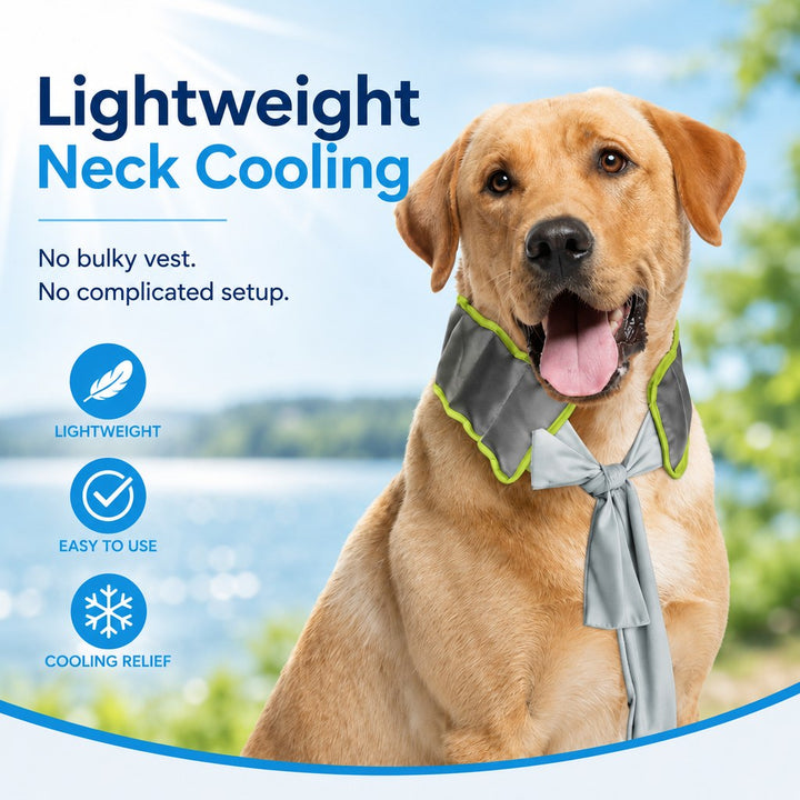 Ortrud | Dog Cooling Neck Wrap for Summer Walks, Hiking & Beach Days - image 7