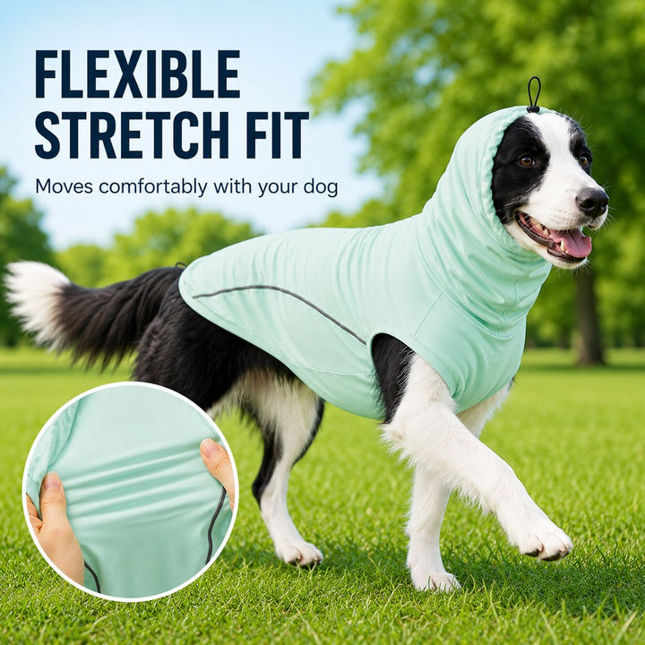 Egnatia | Dog Cooling Sun Protection Shirt for Summer Walks, Lightweight Full-Coverage Outdoor Wear - image 6