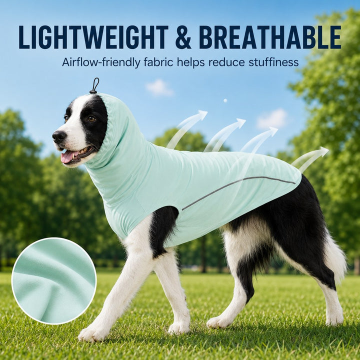 Egnatia | Dog Cooling Sun Protection Shirt for Summer Walks, Lightweight Full-Coverage Outdoor Wear - image 3