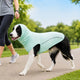 Egnatia | Dog Cooling Sun Protection Shirt for Summer Walks, Lightweight Full-Coverage Outdoor Wear - image 1