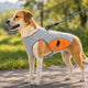 Vasiliki | Dog Cooling Vest for Summer Walks - image 11