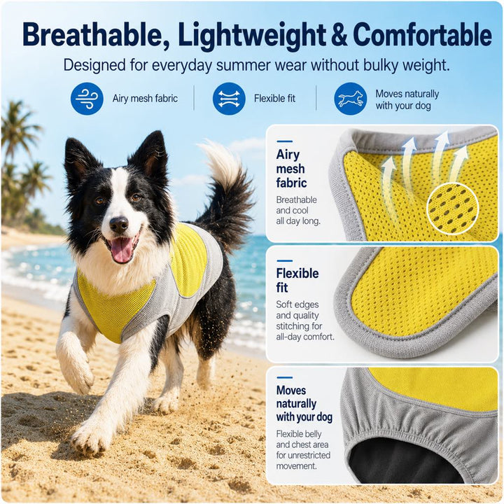 Ifigenia | Water-Activated Dog Cooling Vest for Summer Walks & Hikes - image 5
