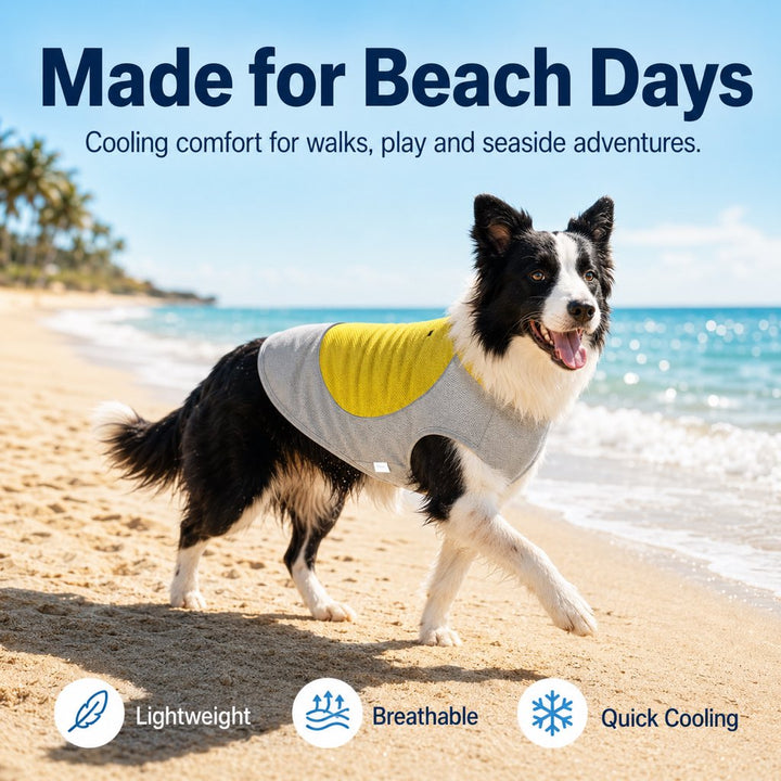 Ifigenia | Water-Activated Dog Cooling Vest for Summer Walks & Hikes - image 2