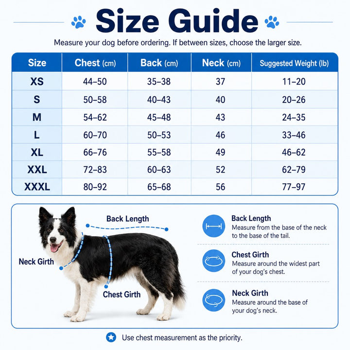 Ifigenia | Water-Activated Dog Cooling Vest for Summer Walks & Hikes - image 9