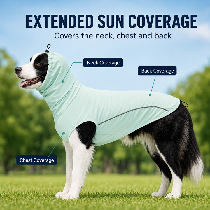 Egnatia | Dog Cooling Sun Protection Shirt for Summer Walks, Lightweight Full-Coverage Outdoor Wear - image 4
