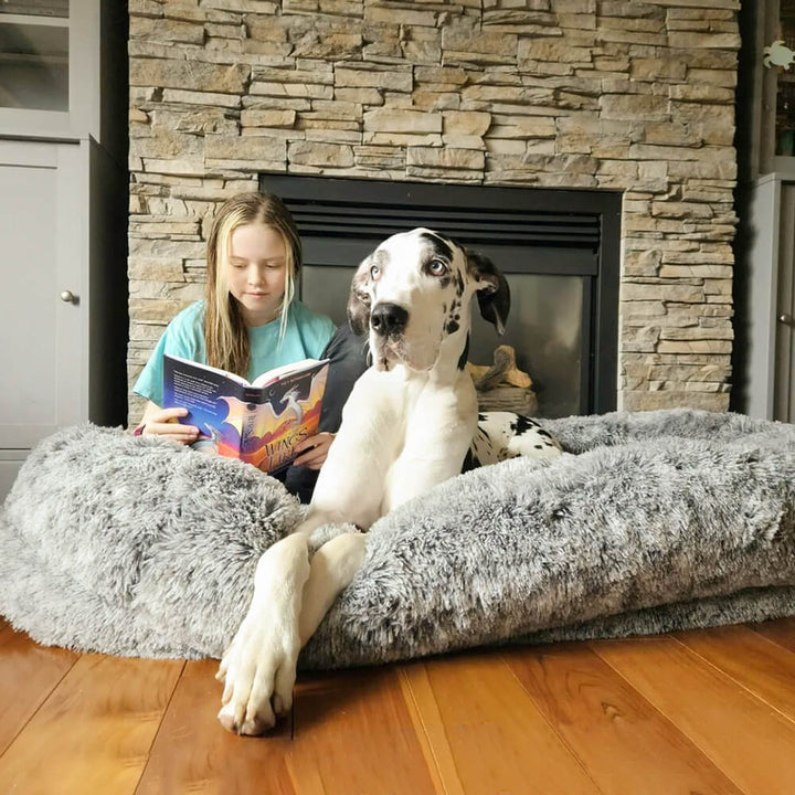 Inverloch | Extra Large Human Dog Bed with Faux Fur Throw - image 1