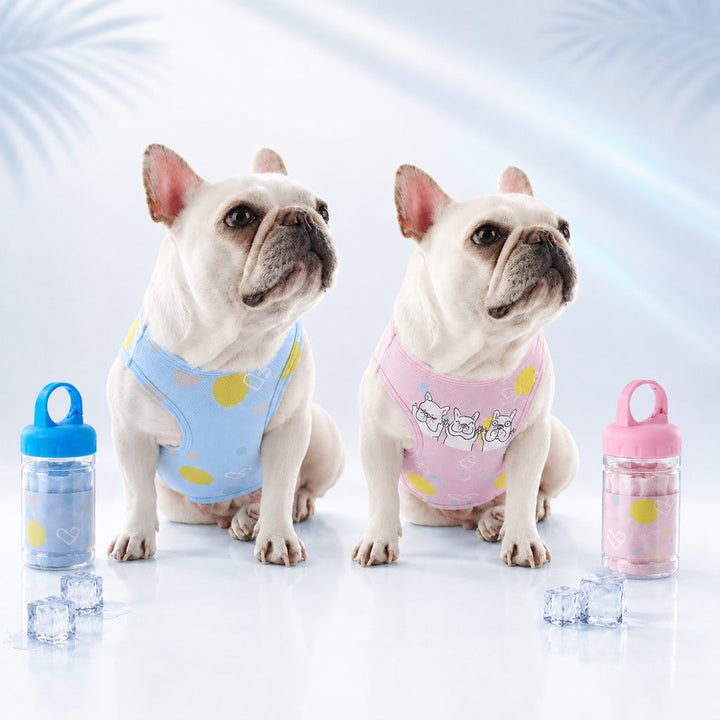 Kalliroi | French Bulldog Cooling Vest for Hot Summer Walks - image 10