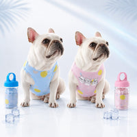 Blue + Pink Set