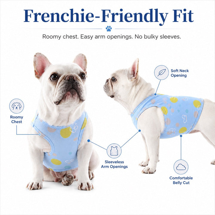 Kalliroi | French Bulldog Cooling Vest for Hot Summer Walks - image 6
