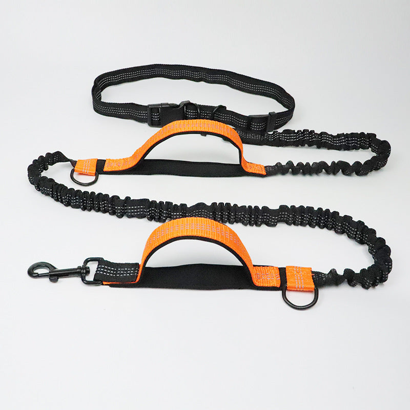 Walkerville | Hands-Free Multifunction Dog Lead with Car Seatbelt - image 2