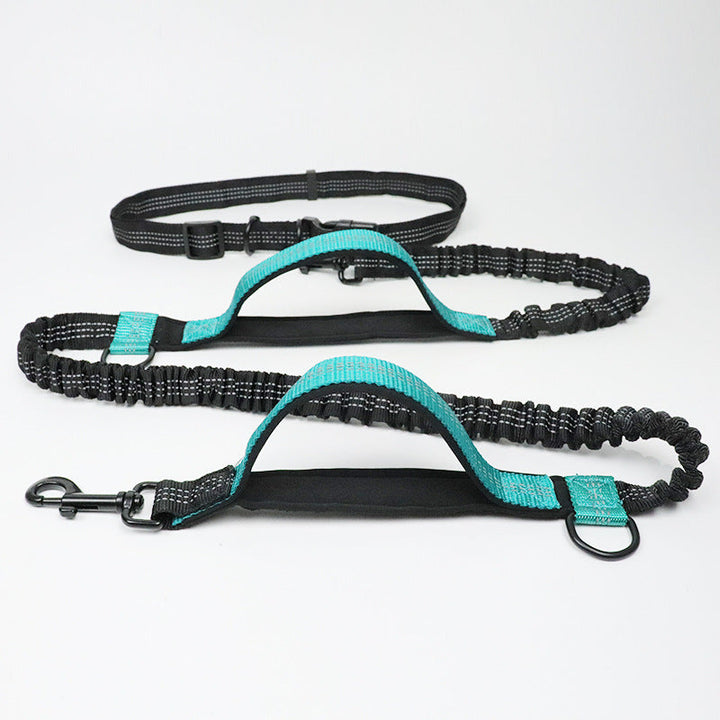 Walkerville | Hands-Free Multifunction Dog Lead with Car Seatbelt - image 4