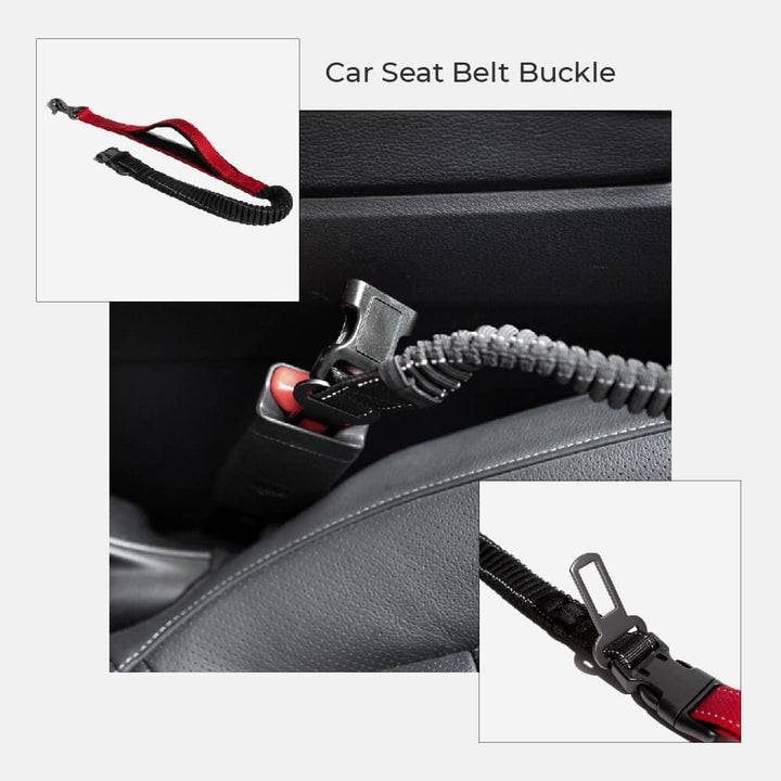 Walkerville | Hands-Free Multifunction Dog Lead with Car Seatbelt - image 8