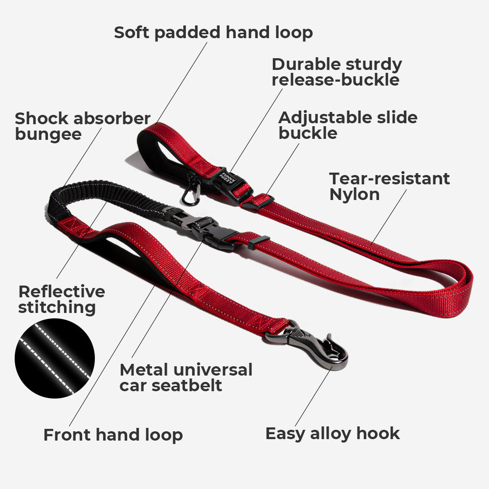 Walkerville | Hands-Free Multifunction Dog Lead with Car Seatbelt - image 6