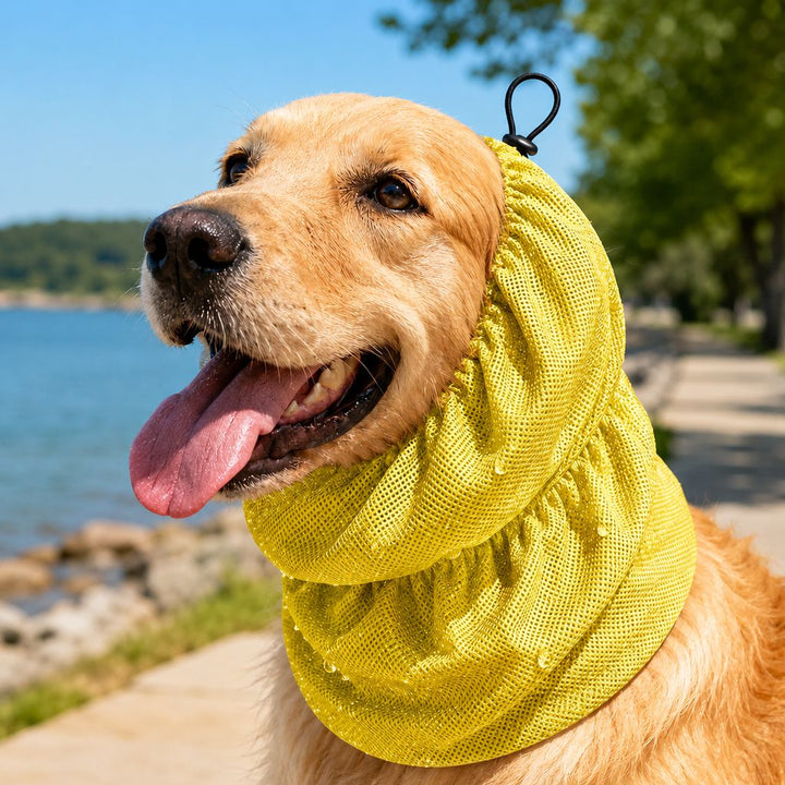 Dimitra | Water-Activated Dog Cooling Snood for Summer Walks - image 11