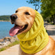 Dimitra | Water-Activated Dog Cooling Snood for Summer Walks - image 11