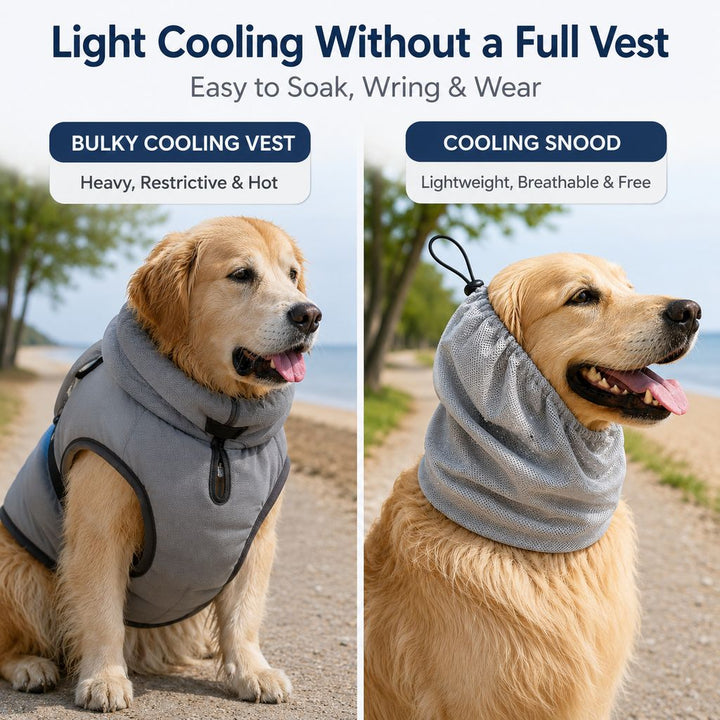 Dimitra | Water-Activated Dog Cooling Snood for Summer Walks - image 3