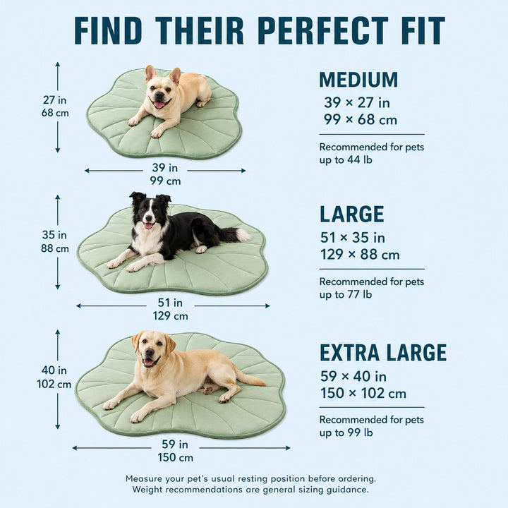 Livilla | Lotus Leaf Cooling Pet Mat for Floors, Sofas, Crates & Car Seats - image 10