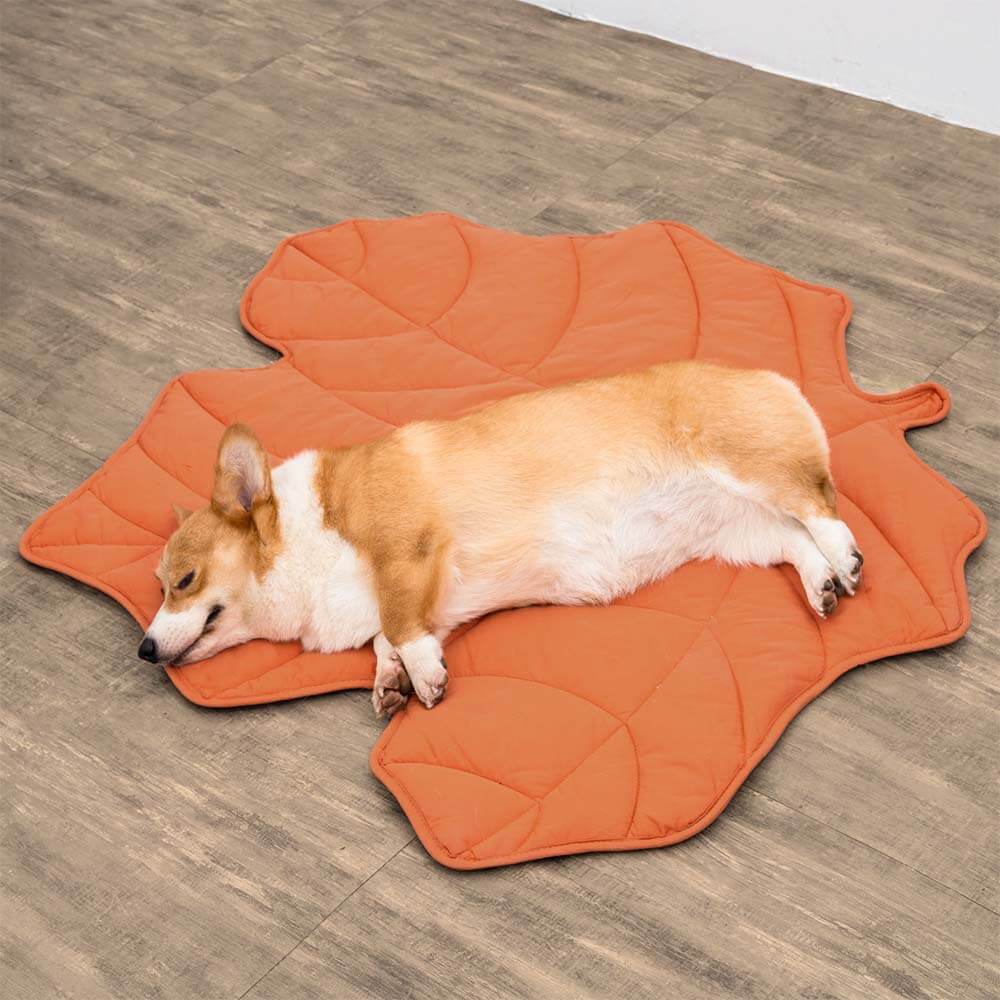Bundeena | Leaf Shape Washable Dog Blanket and Mat - image 7