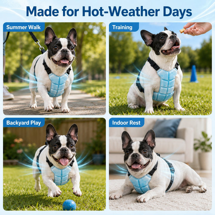 Alder | Reusable PCM Pet Cooling Vest for Summer Walks & Outdoor Play - image 3