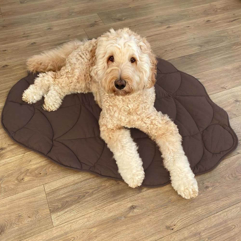 Bundeena | Leaf Shape Washable Dog Blanket and Mat - image 9