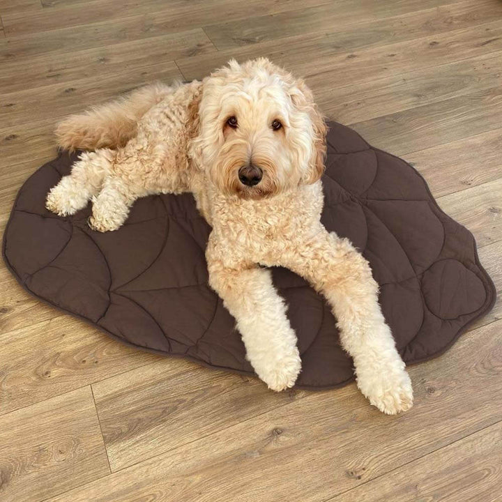 Bundeena | Leaf Shape Washable Dog Blanket and Mat - image 9