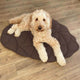 Bundeena | Leaf Shape Washable Dog Blanket and Mat - image 9