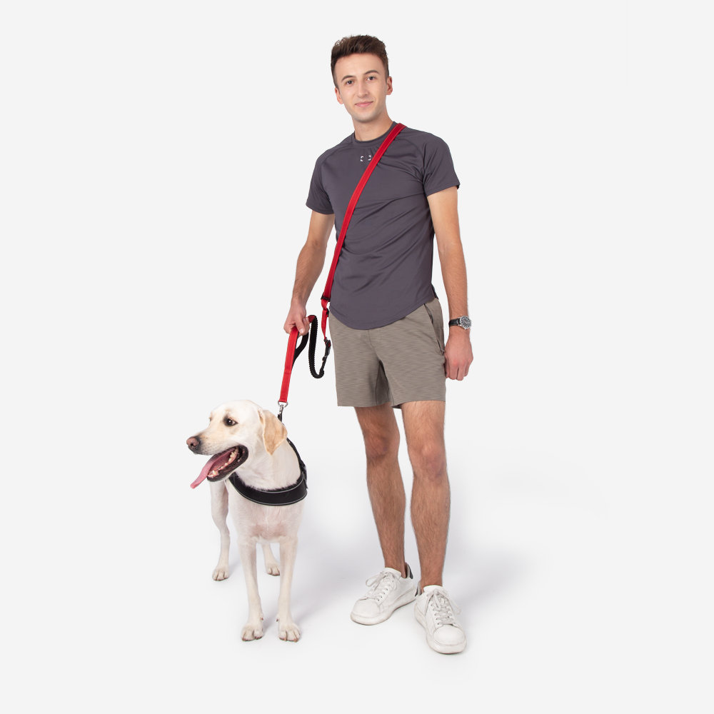 Walkerville | Hands-Free Multifunction Dog Lead with Car Seatbelt - image 9