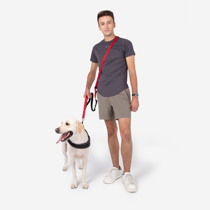 Walkerville | Hands-Free Multifunction Dog Lead with Car Seatbelt - image 9