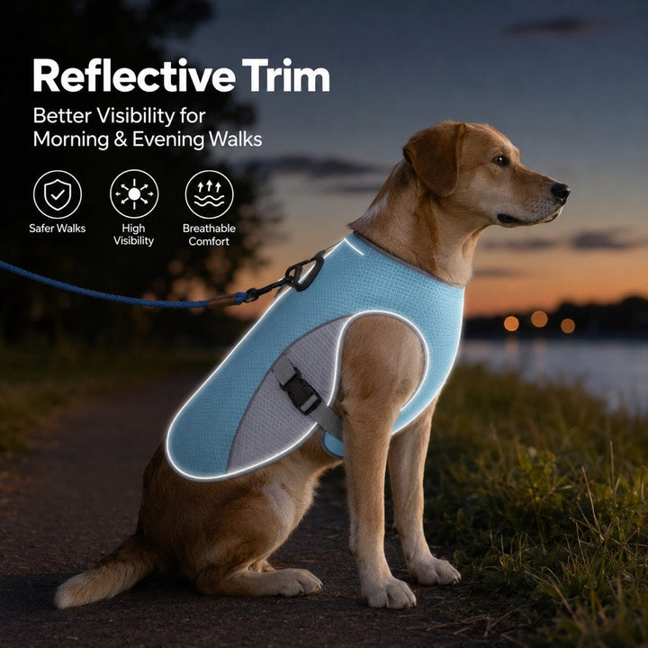 Vasiliki | Dog Cooling Vest for Summer Walks - image 6