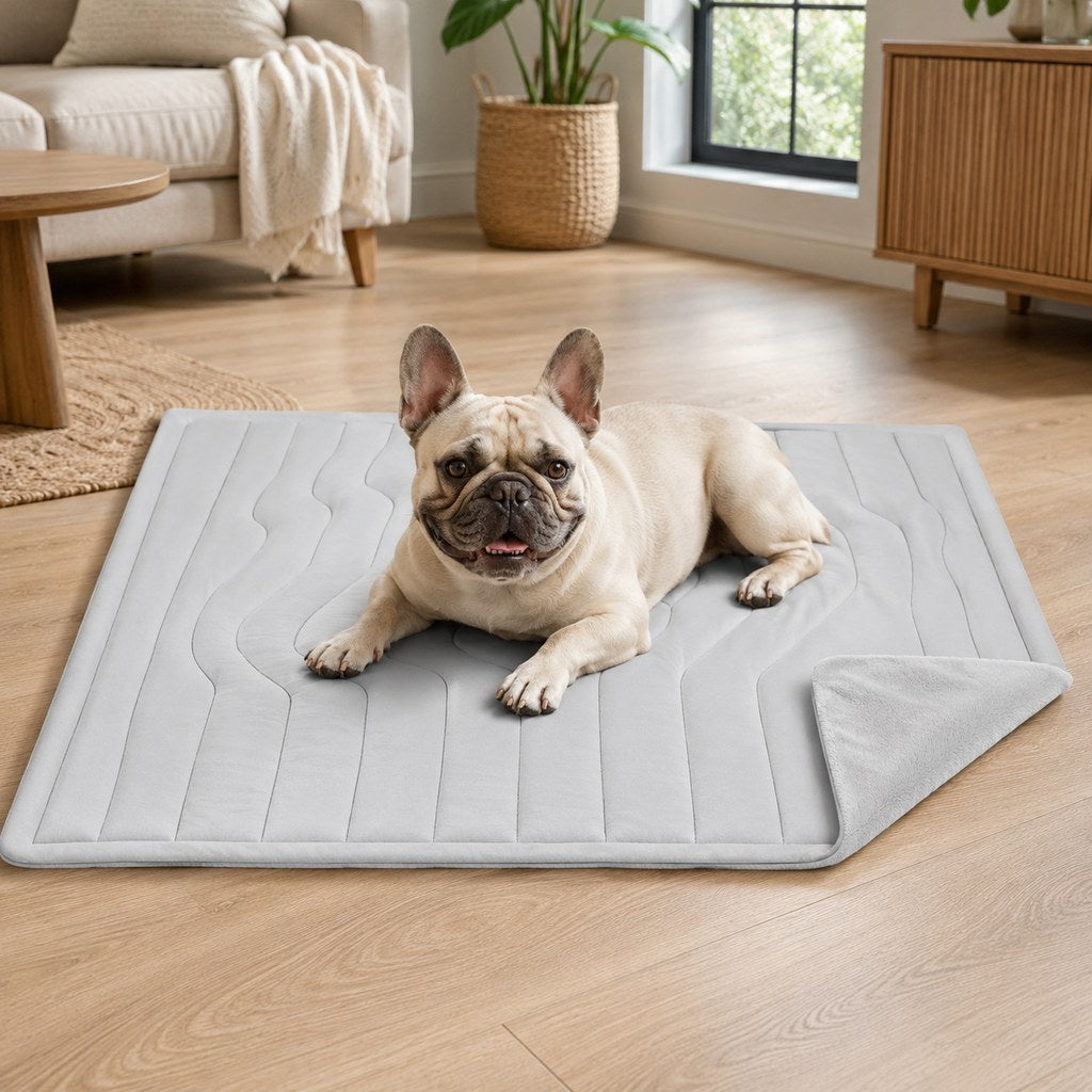 Maecia | Reversible All-Season Cooling-Feel Pet Mat for Dogs & Cats - image 1