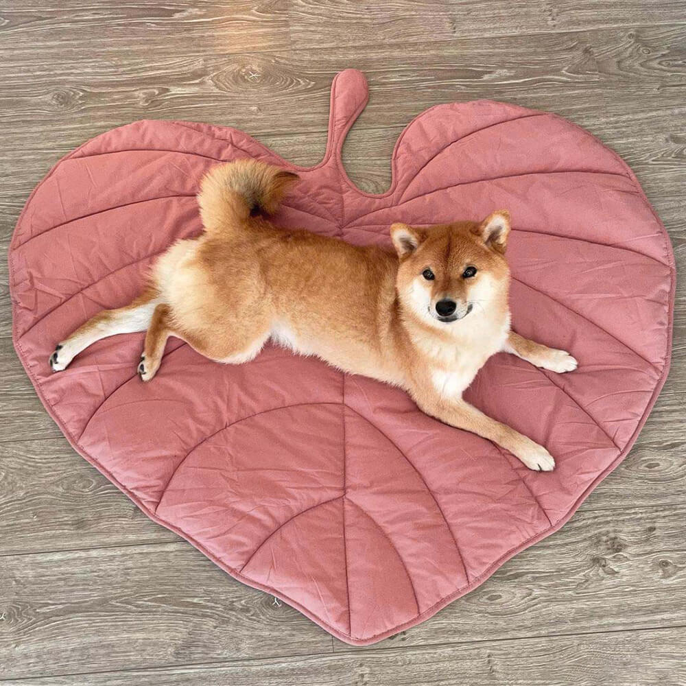 Bundeena | Leaf Shape Washable Dog Blanket and Mat - image 8