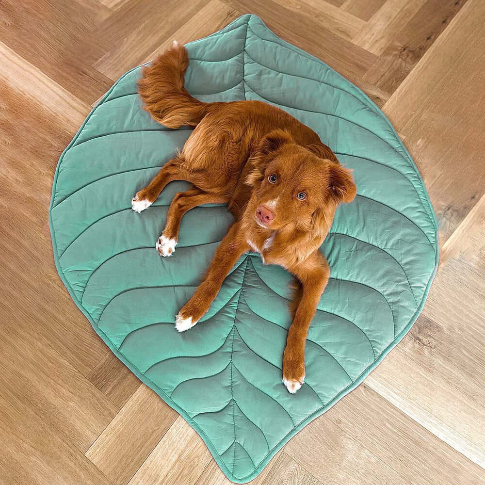 Bundeena | Leaf Shape Washable Dog Blanket and Mat - image 10