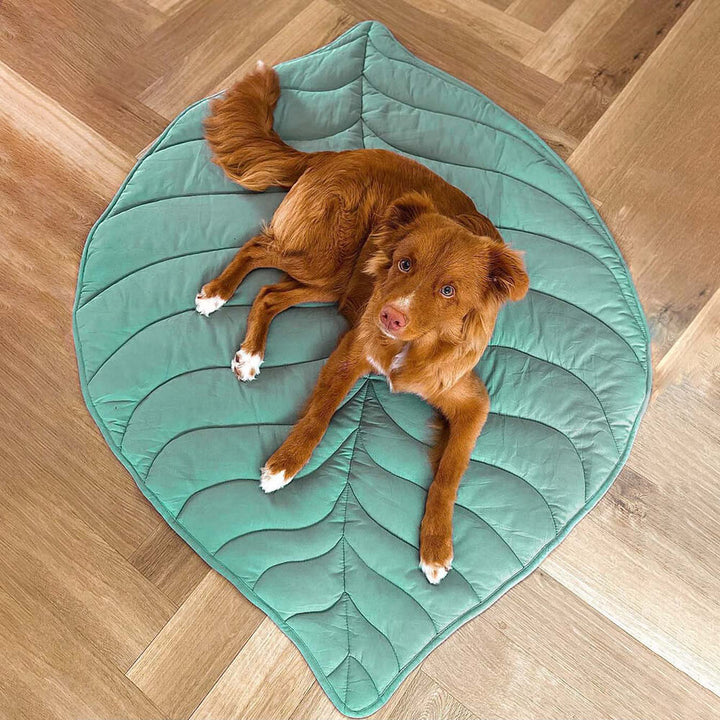 Bundeena | Leaf Shape Washable Dog Blanket and Mat - image 10
