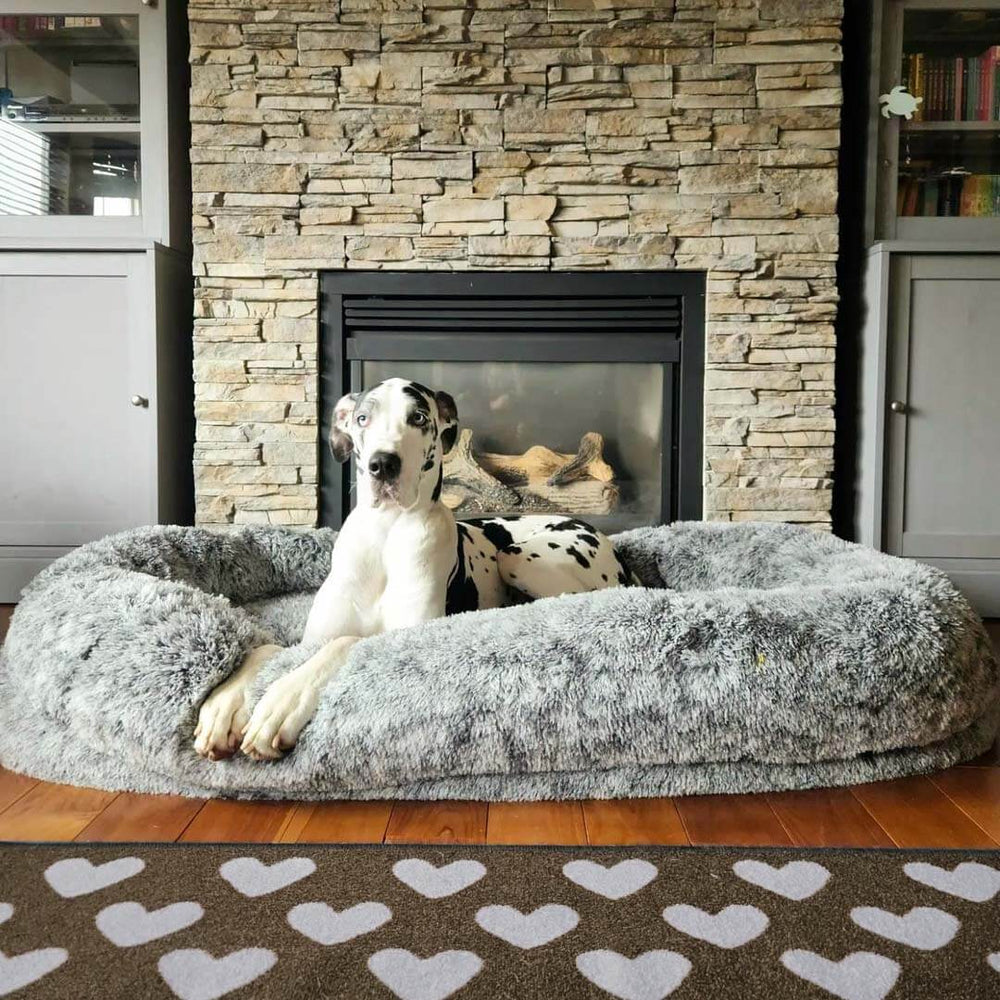 Inverloch | Extra Large Human Dog Bed with Faux Fur Throw - image 2