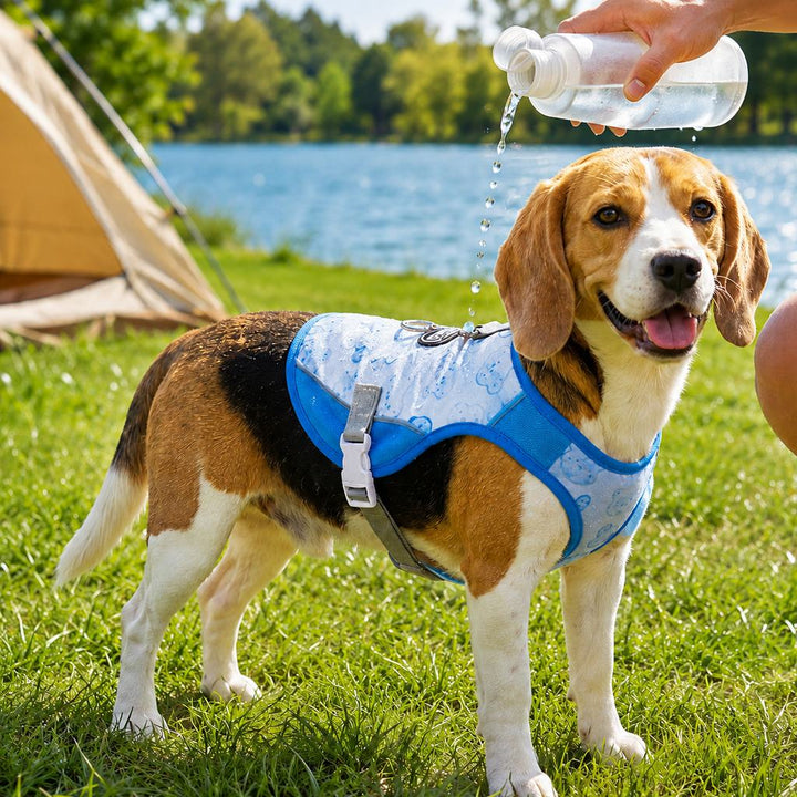 Ermioni | Water-Activated Dog Cooling Sun Vest for Summer Walks, Camping & Outdoor Heat Relief - image 11