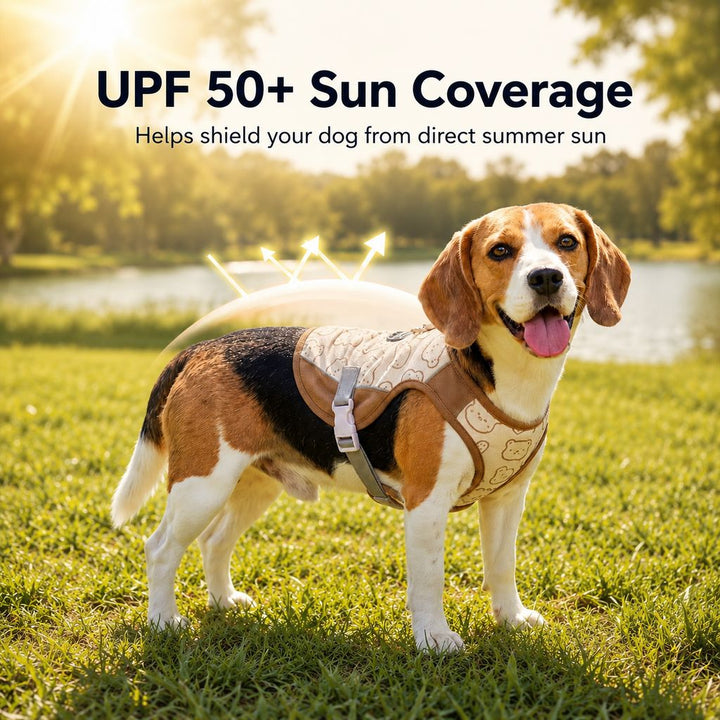 Ermioni | Water-Activated Dog Cooling Sun Vest for Summer Walks, Camping & Outdoor Heat Relief - image 3