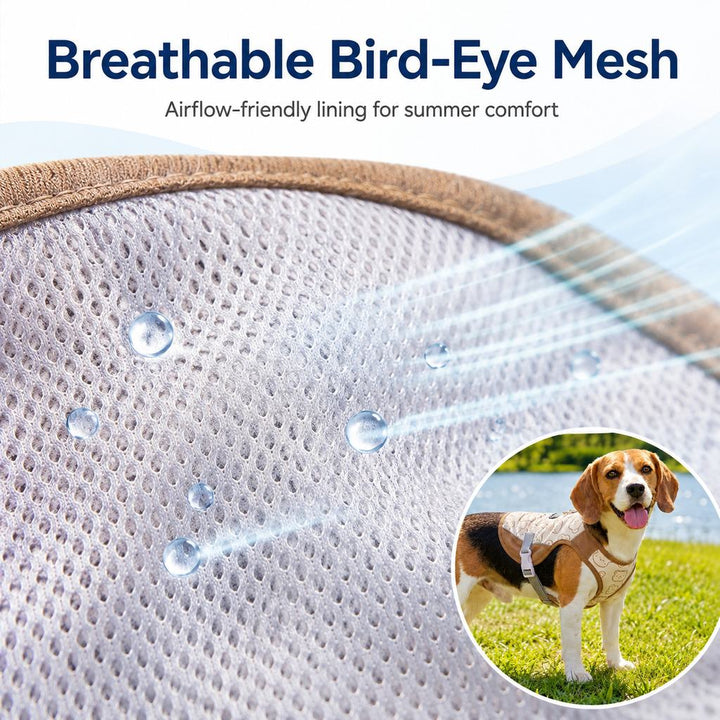Ermioni | Water-Activated Dog Cooling Sun Vest for Summer Walks, Camping & Outdoor Heat Relief - image 5